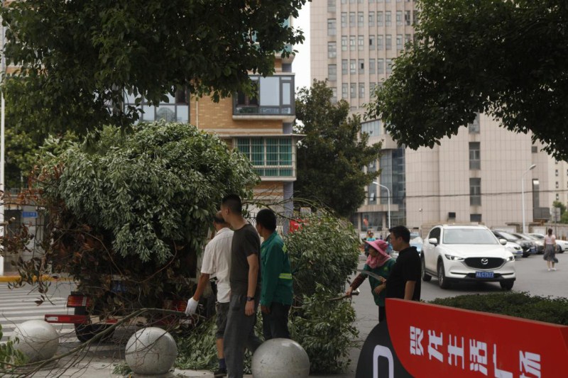 ��֮��(�й���)�ٷ���վ